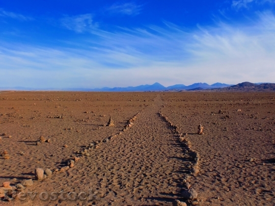 Devostock Desert beautiful image  (262)