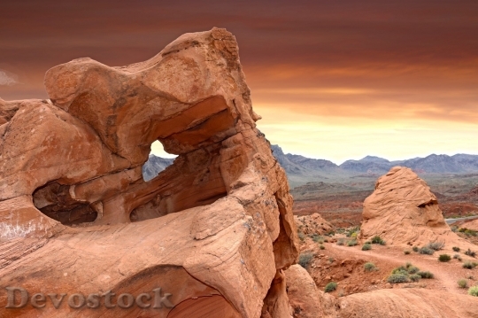 Devostock Desert beautiful image  (273)