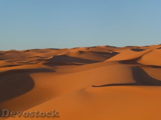 Devostock Desert beautiful image  (276)