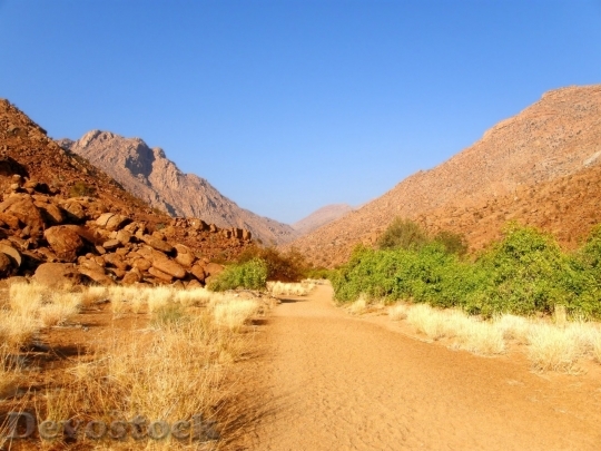 Devostock Desert beautiful image  (277)