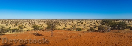 Devostock Desert beautiful image  (278)