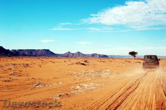 Devostock Desert beautiful image  (286)