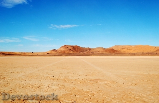 Devostock Desert beautiful image  (289)
