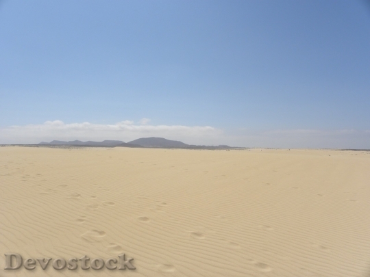 Devostock Desert beautiful image  (296)
