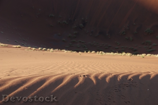 Devostock Desert beautiful image  (30)