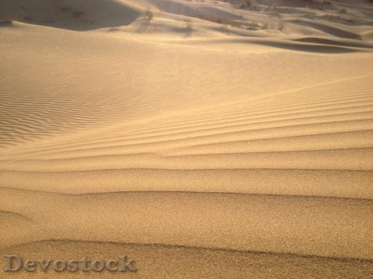 Devostock Desert beautiful image  (301)