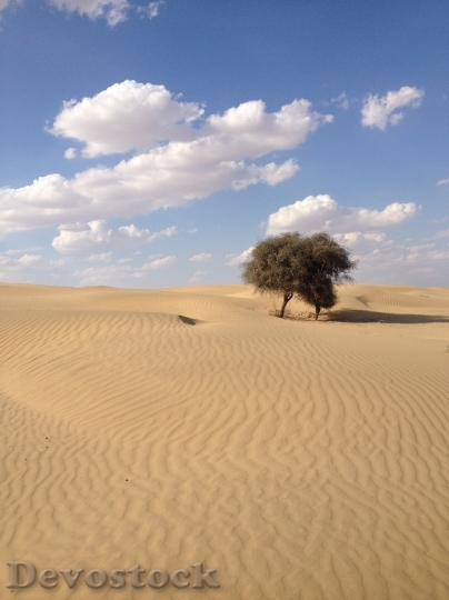 Devostock Desert beautiful image  (302)