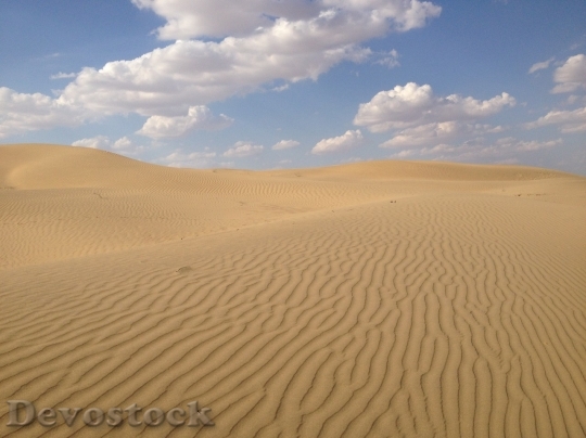 Devostock Desert beautiful image  (303)