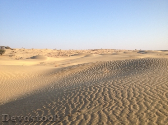 Devostock Desert beautiful image  (304)