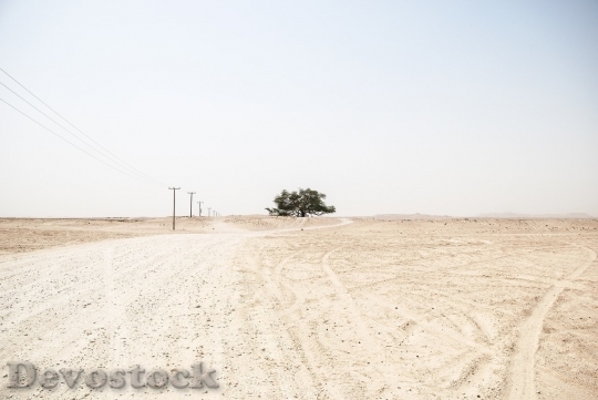 Devostock Desert beautiful image  (306)