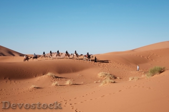 Devostock Desert beautiful image  (309)