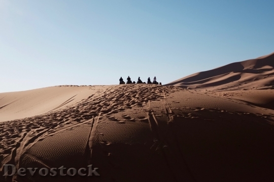 Devostock Desert beautiful image  (310)