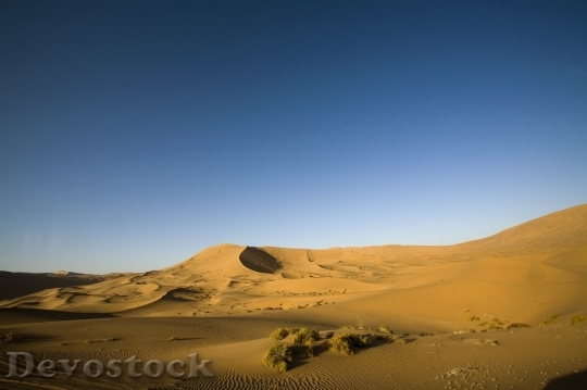 Devostock Desert beautiful image  (318)