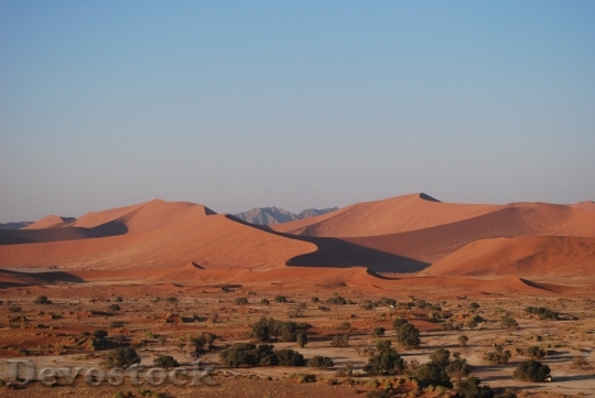Devostock Desert beautiful image  (322)