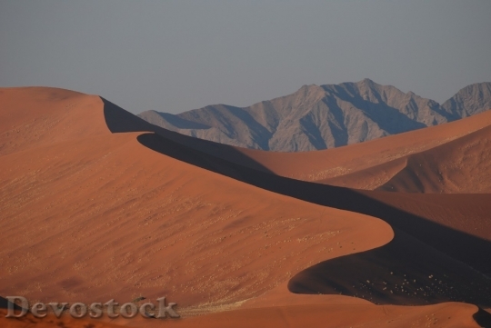 Devostock Desert beautiful image  (324)