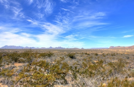 Devostock Desert beautiful image  (326)
