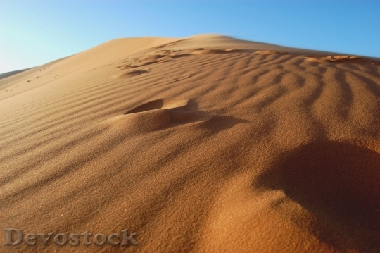 Devostock Desert beautiful image  (333)