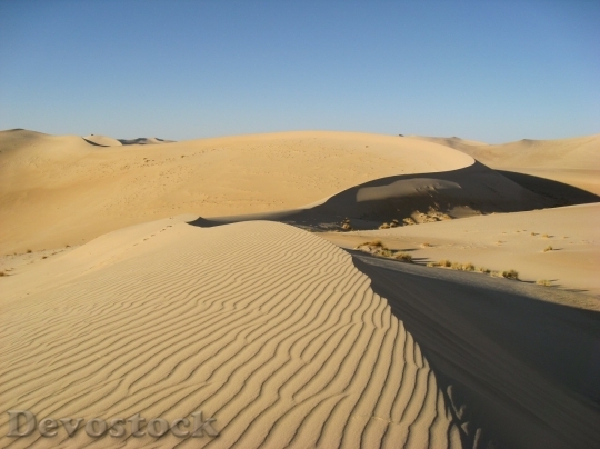 Devostock Desert beautiful image  (34)