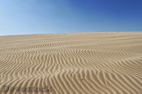 Devostock Desert beautiful image  (341)
