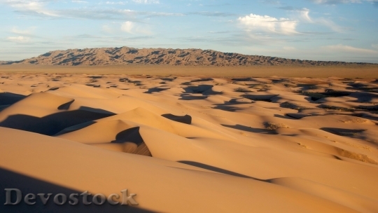 Devostock Desert beautiful image  (351)