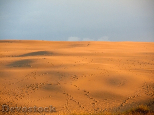 Devostock Desert beautiful image  (355)