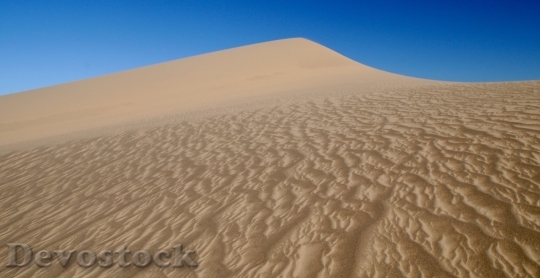 Devostock Desert beautiful image  (357)