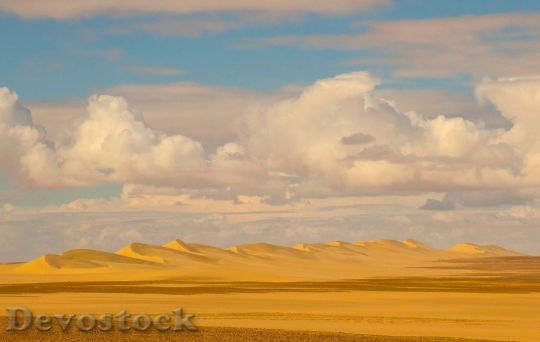 Devostock Desert beautiful image  (358)