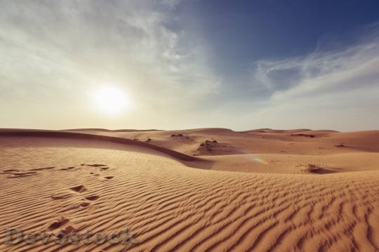 Devostock Desert beautiful image  (368)