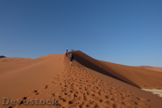 Devostock Desert beautiful image  (376)