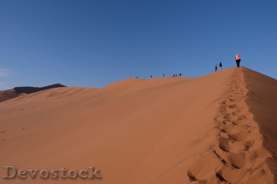 Devostock Desert beautiful image  (378)