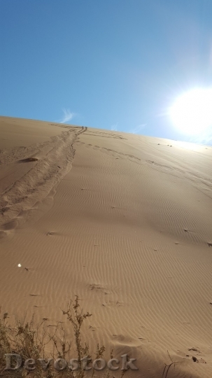 Devostock Desert beautiful image  (380)