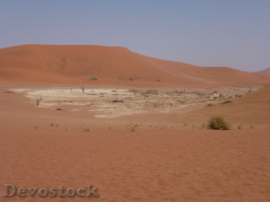 Devostock Desert beautiful image  (391)