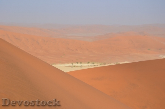 Devostock Desert beautiful image  (392)