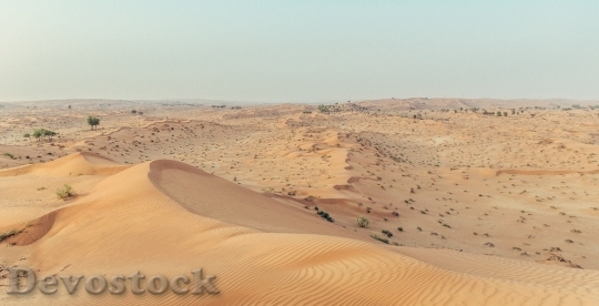 Devostock Desert beautiful image  (393)