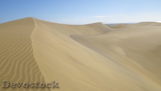 Devostock Desert beautiful image  (4)