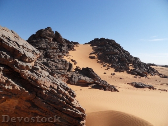 Devostock Desert beautiful image  (400)
