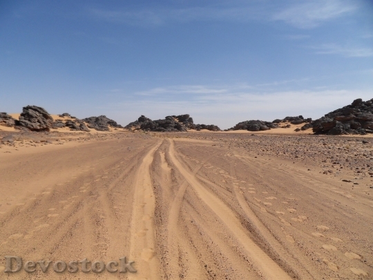 Devostock Desert beautiful image  (402)
