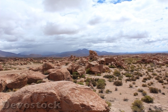 Devostock Desert beautiful image  (404)