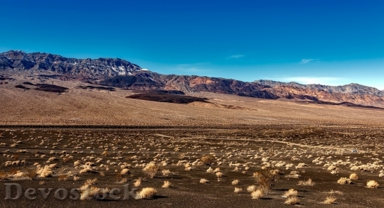 Devostock Desert beautiful image  (405)
