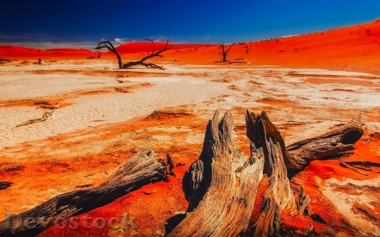 Devostock Desert beautiful image  (406)