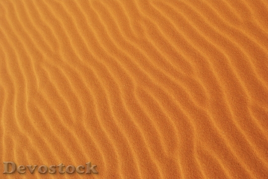 Devostock Desert beautiful image  (409)