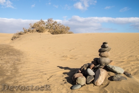 Devostock Desert beautiful image  (423)