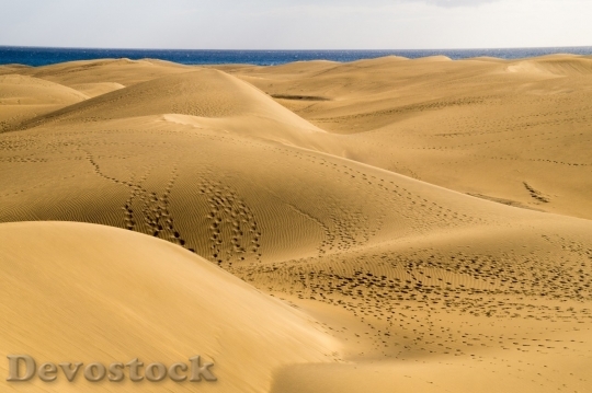 Devostock Desert beautiful image  (424)
