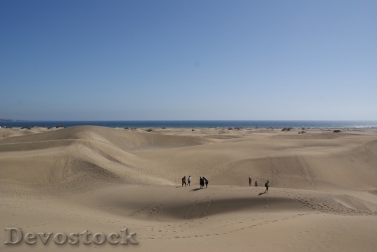 Devostock Desert beautiful image  (425)