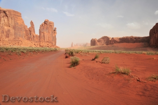 Devostock Desert beautiful image  (43)