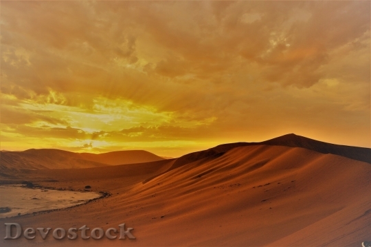 Devostock Desert beautiful image  (432)