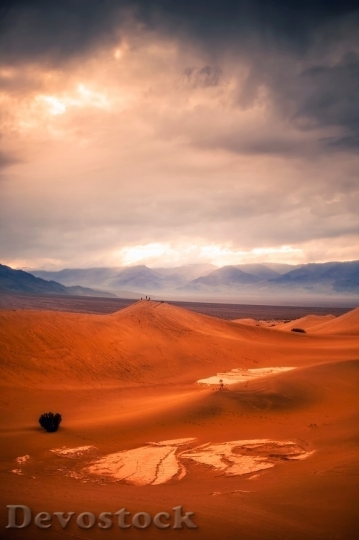 Devostock Desert beautiful image  (433)