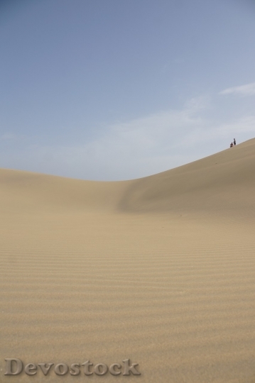 Devostock Desert beautiful image  (434)