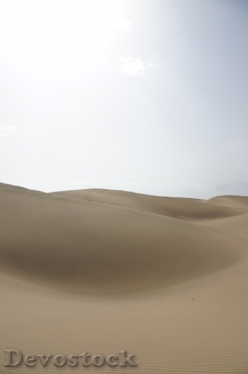 Devostock Desert beautiful image  (435)