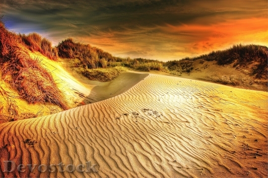 Devostock Desert beautiful image  (436)